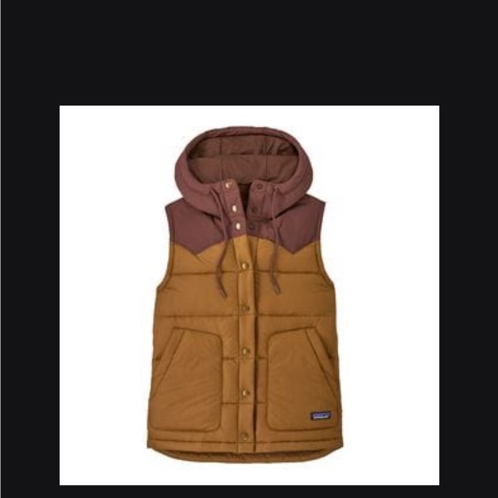 Patagonia Brown and Rust Hooded Puffer Vest